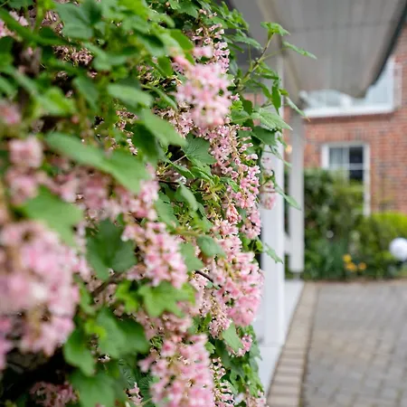 Bir9a Vahle Apartment *